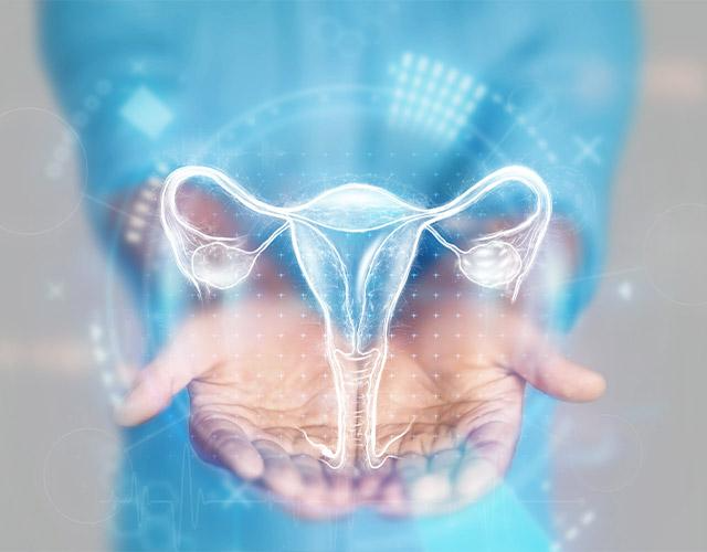 Gynaecology